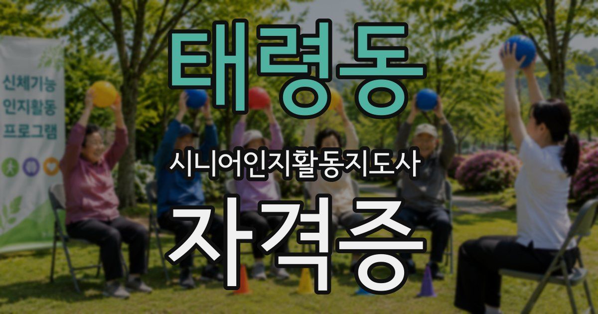태령동 시니어인지활동지도사 자격증