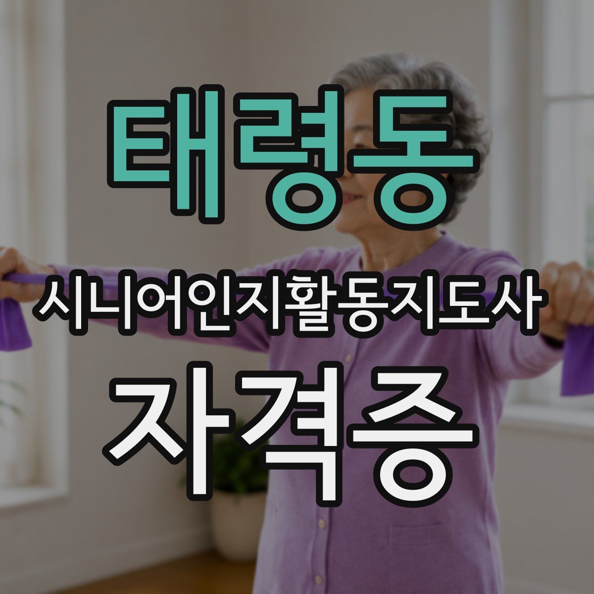 태령동 시니어인지활동지도사 자격증