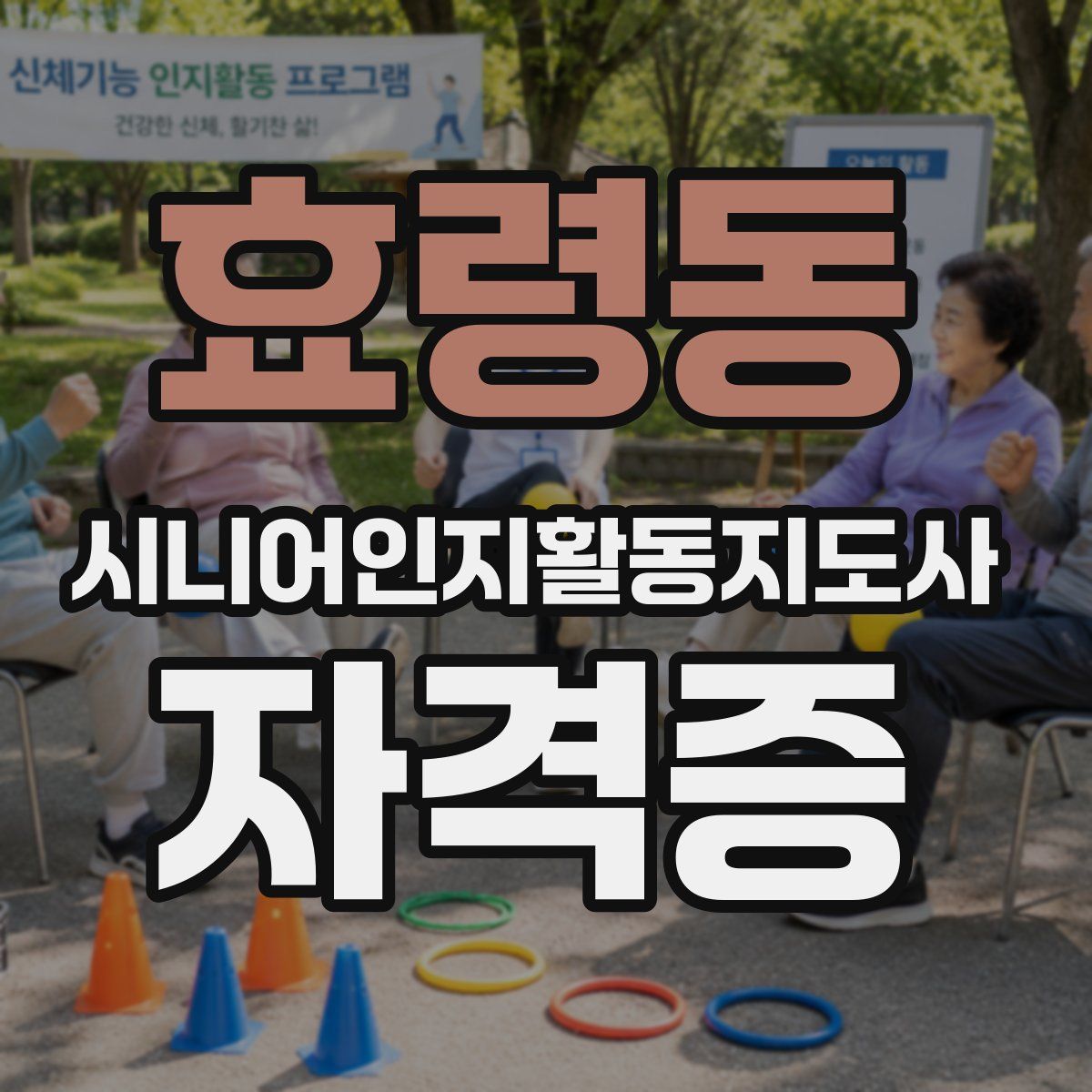 효령동 시니어인지활동지도사 자격증