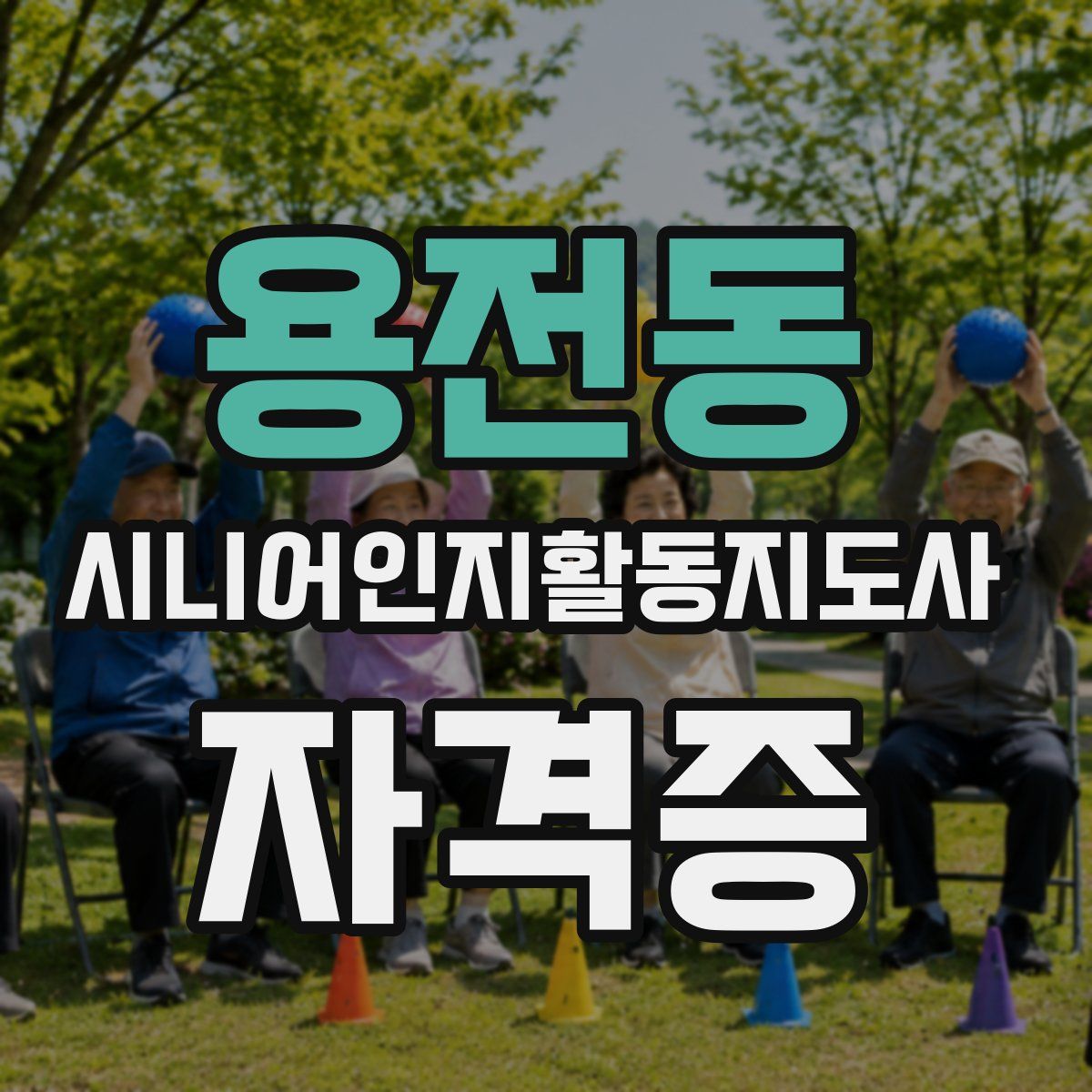 용전동 시니어인지활동지도사 자격증