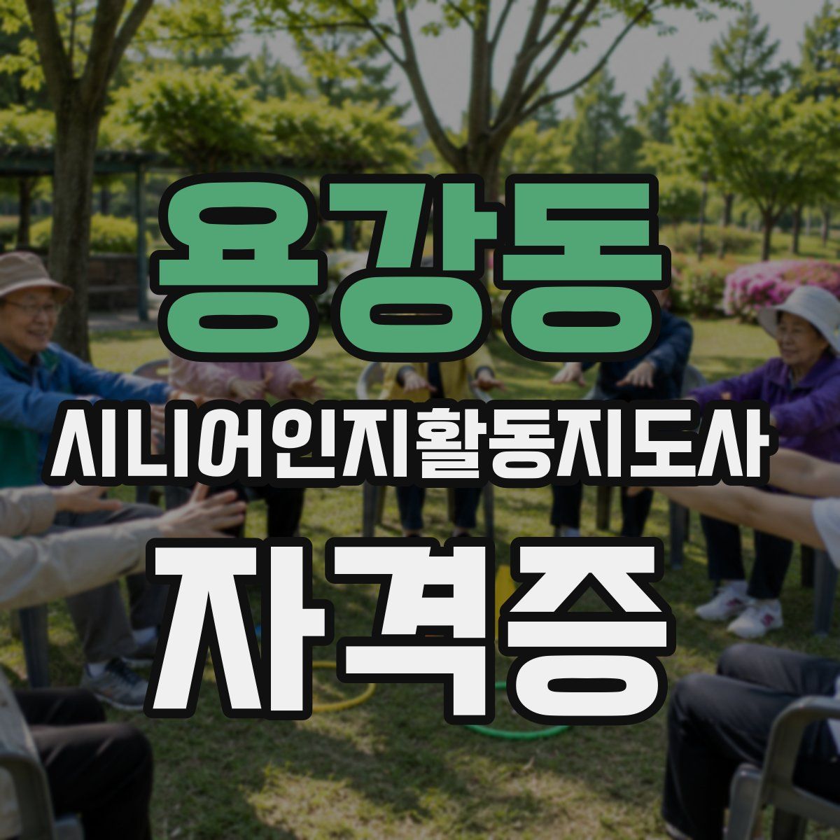 용강동 시니어인지활동지도사 자격증