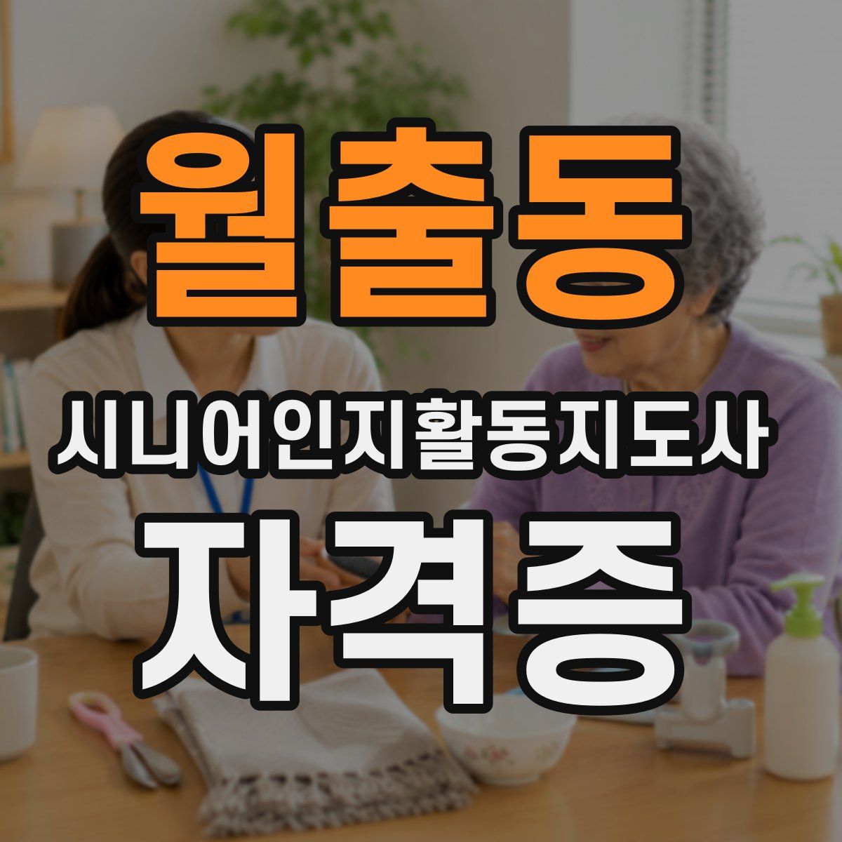 월출동 시니어인지활동지도사 자격증