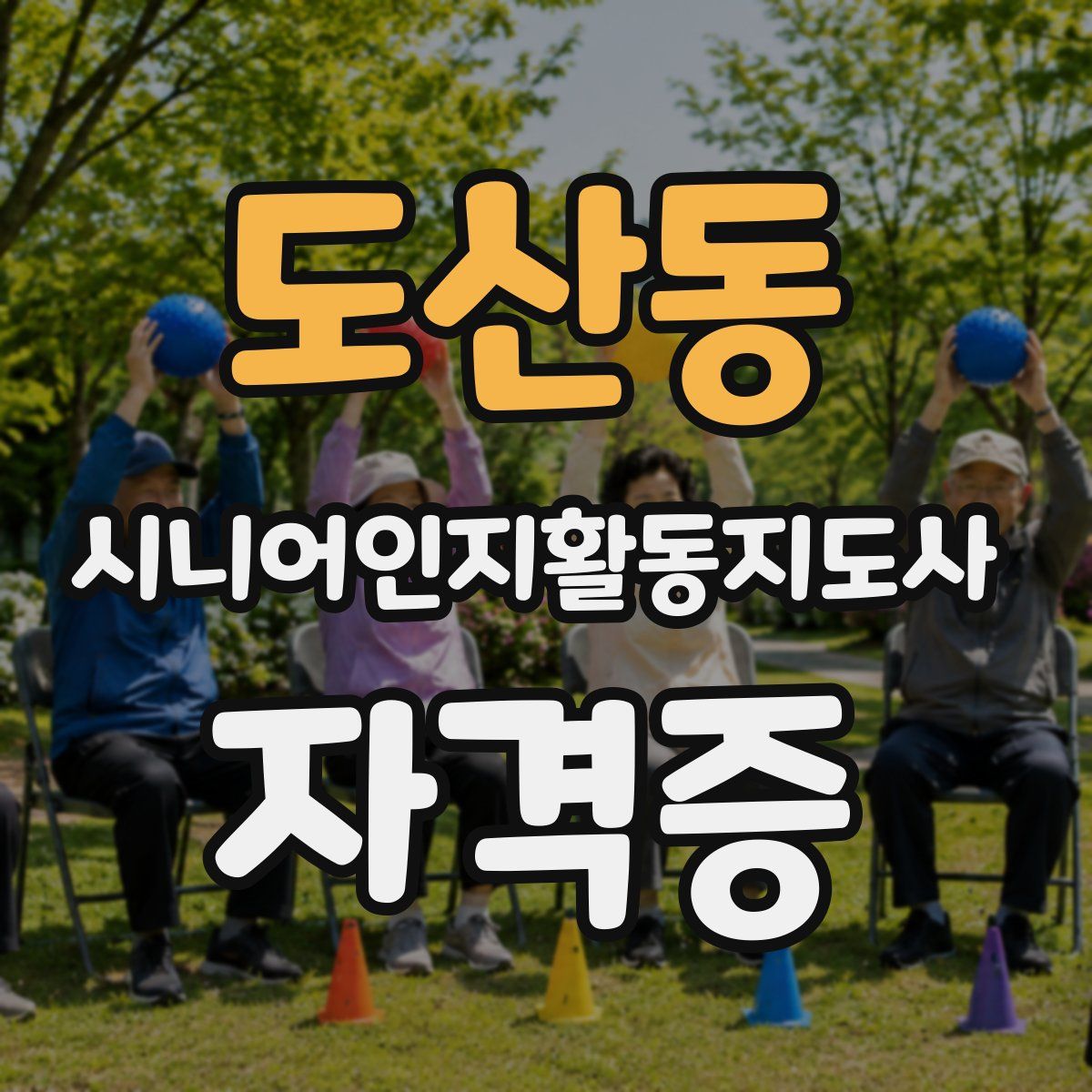 도산동 시니어인지활동지도사 자격증