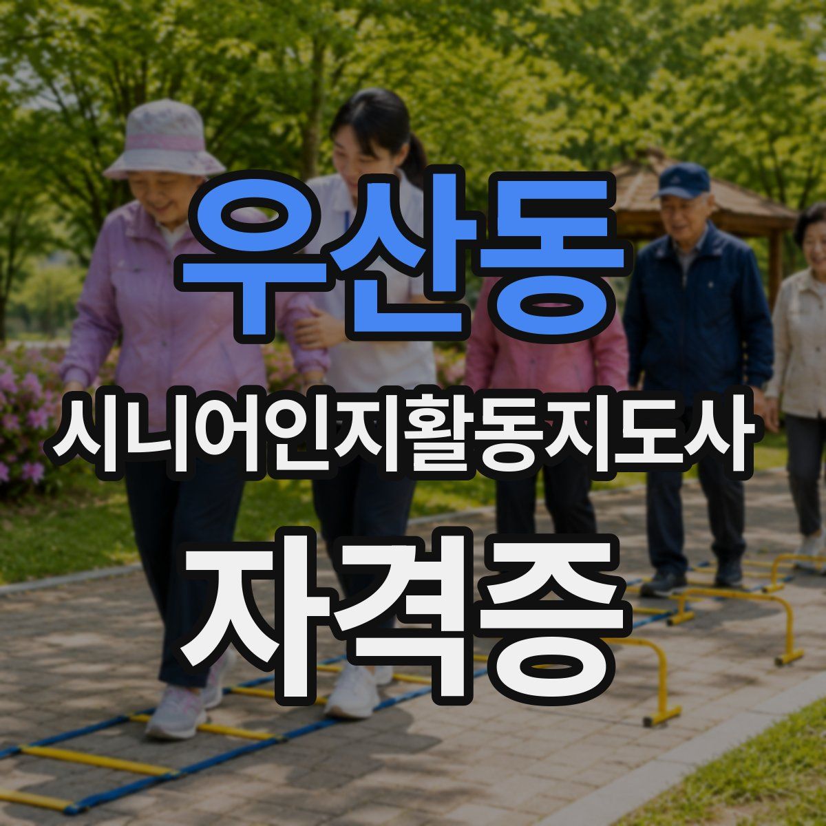 우산동 시니어인지활동지도사 자격증