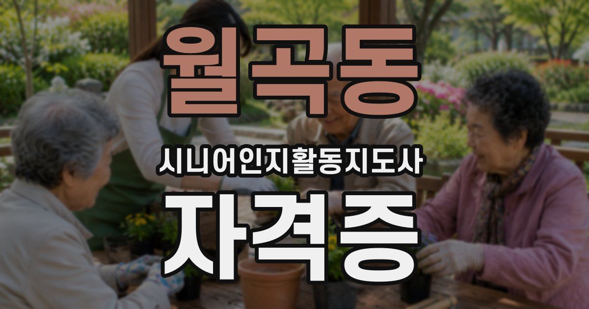 월곡동 시니어인지활동지도사 자격증