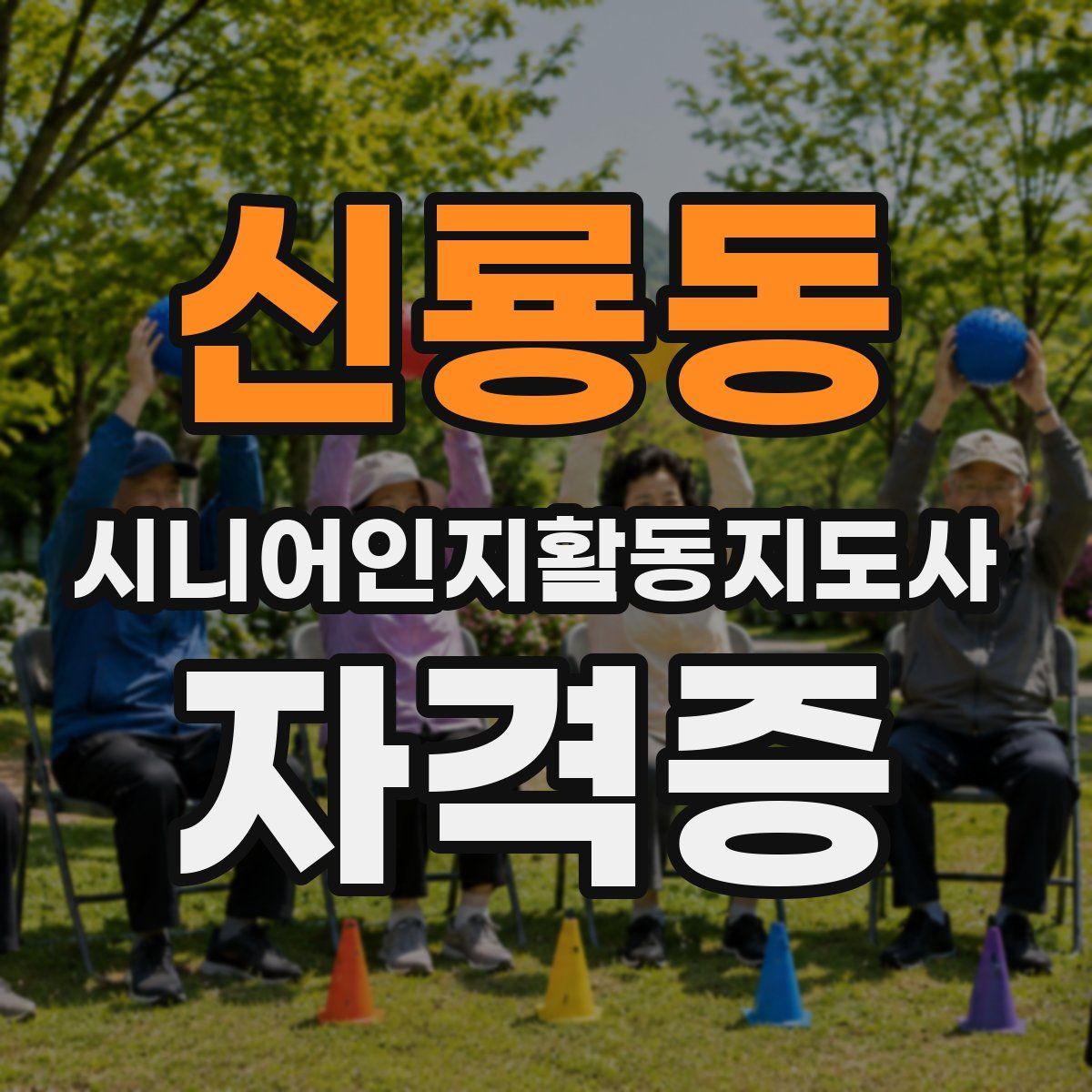 신룡동 시니어인지활동지도사 자격증