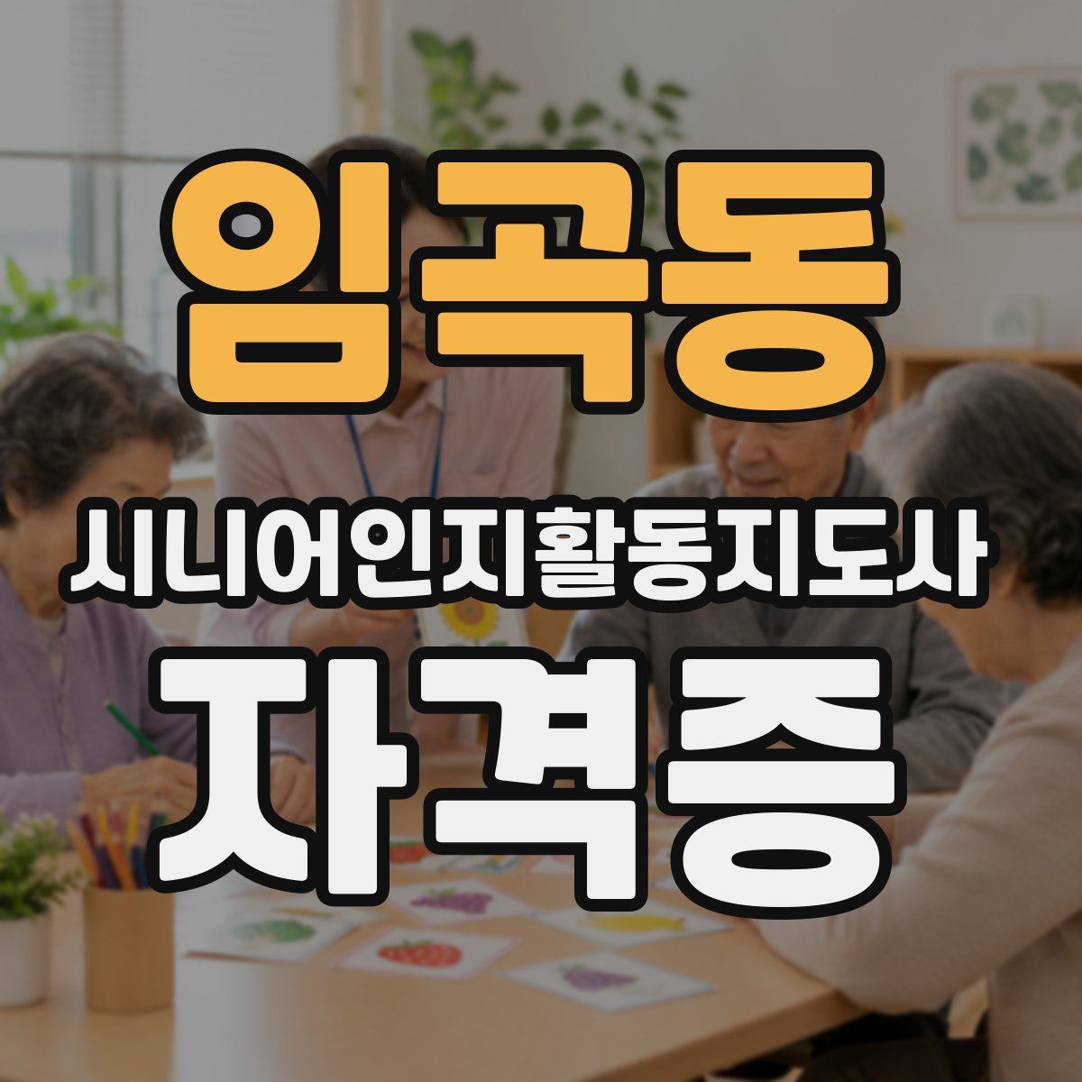 임곡동 시니어인지활동지도사 자격증