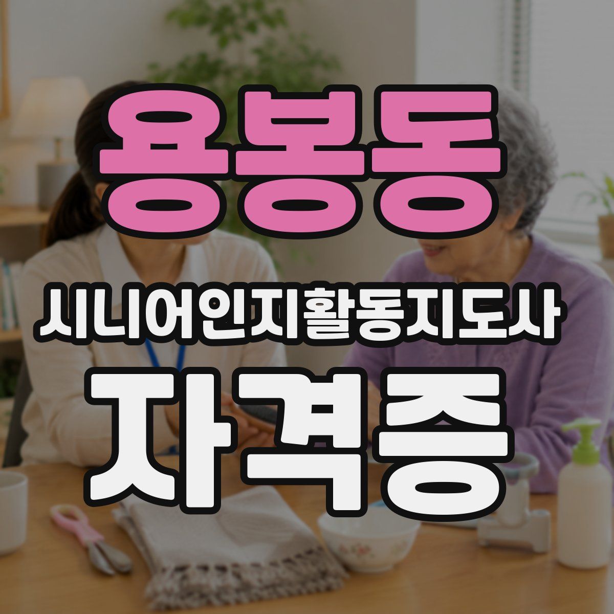 용봉동 시니어인지활동지도사 자격증