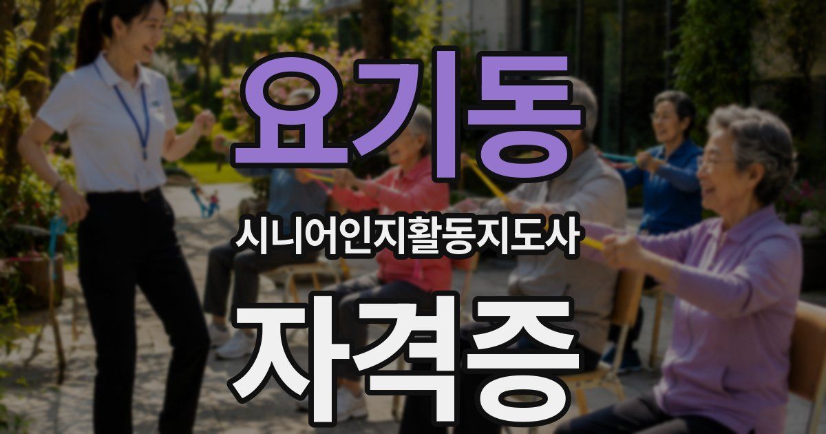 요기동 시니어인지활동지도사 자격증