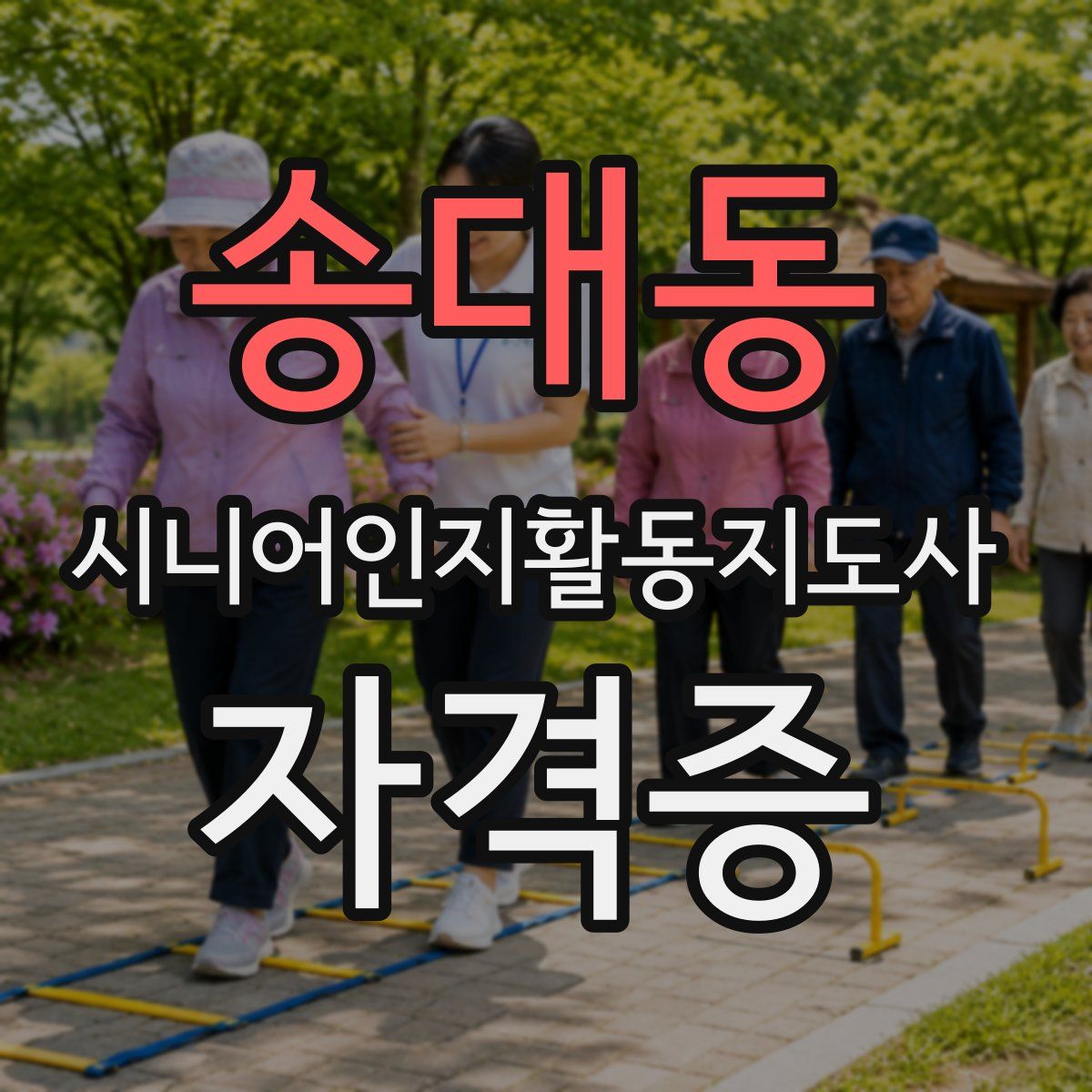 송대동 시니어인지활동지도사 자격증