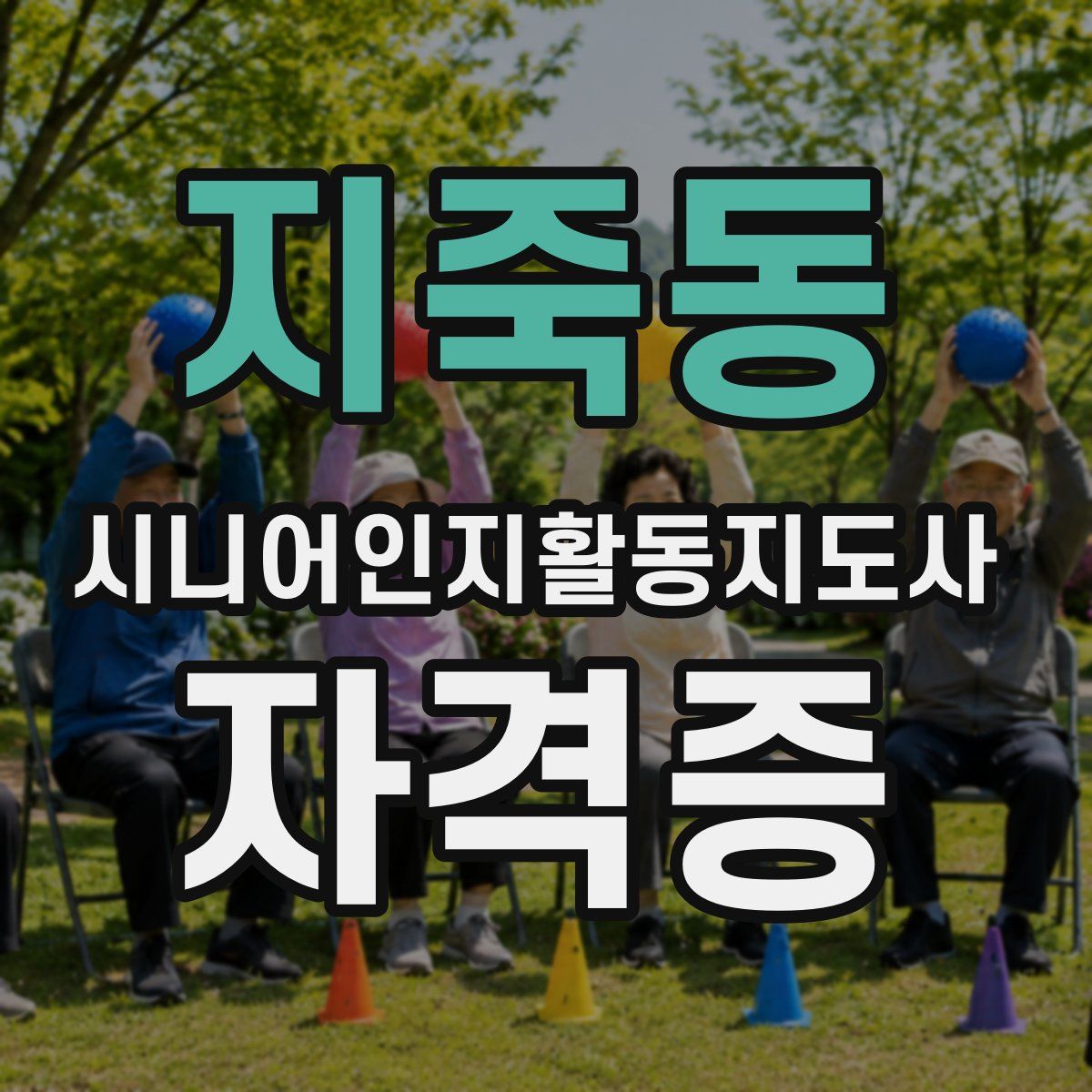 지죽동 시니어인지활동지도사 자격증