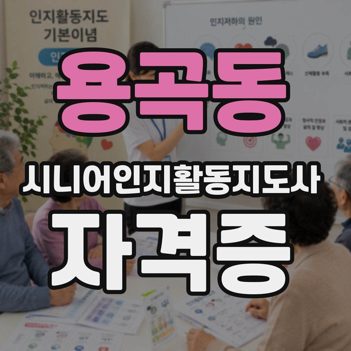 용곡동 시니어인지활동지도사 자격증