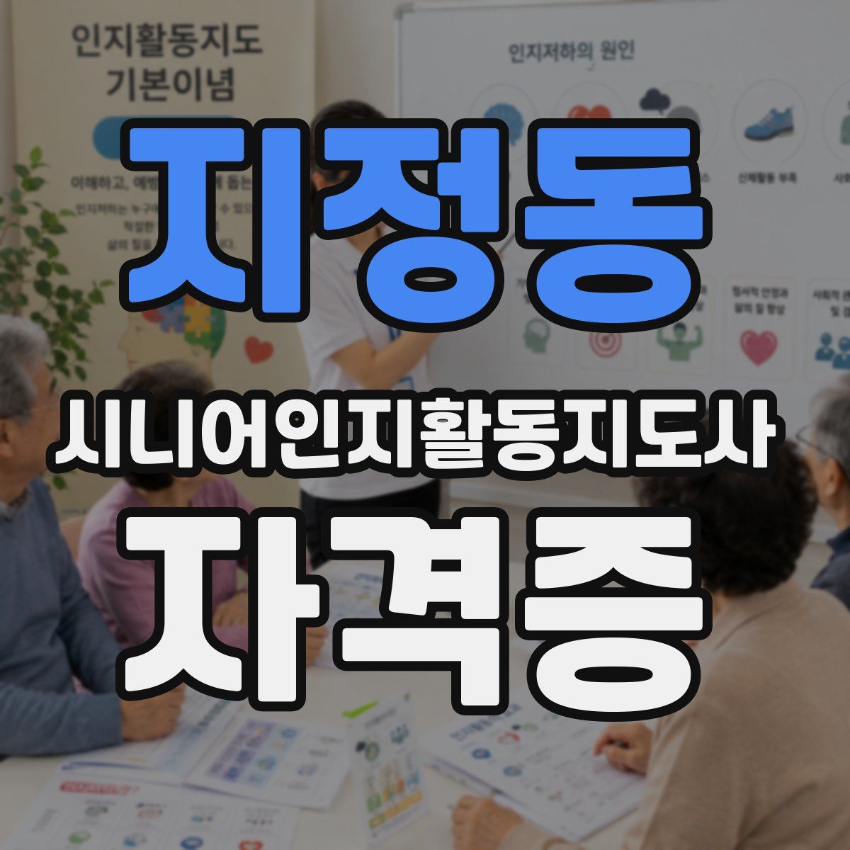 지정동 시니어인지활동지도사 자격증
