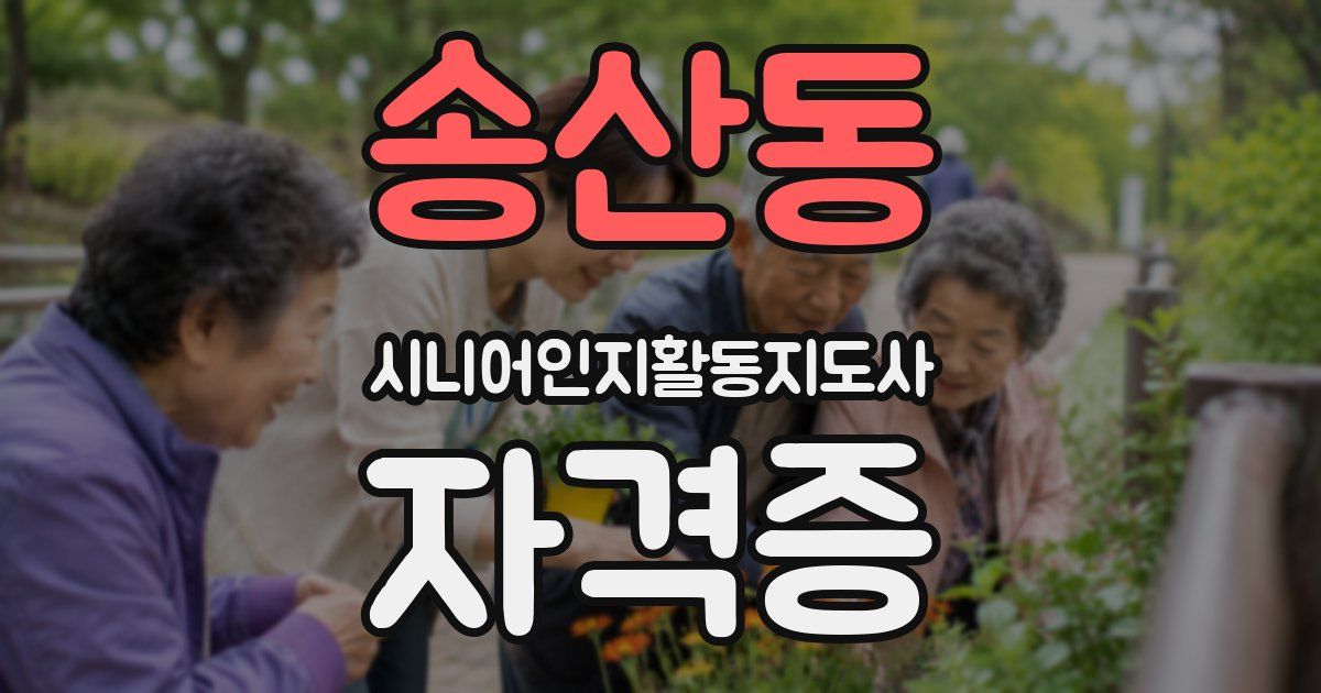 송산동 시니어인지활동지도사 자격증