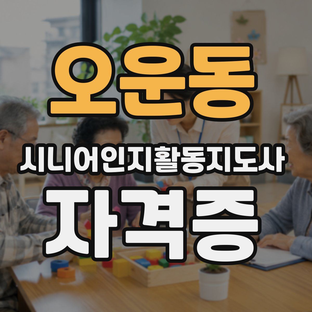 오운동 시니어인지활동지도사 자격증
