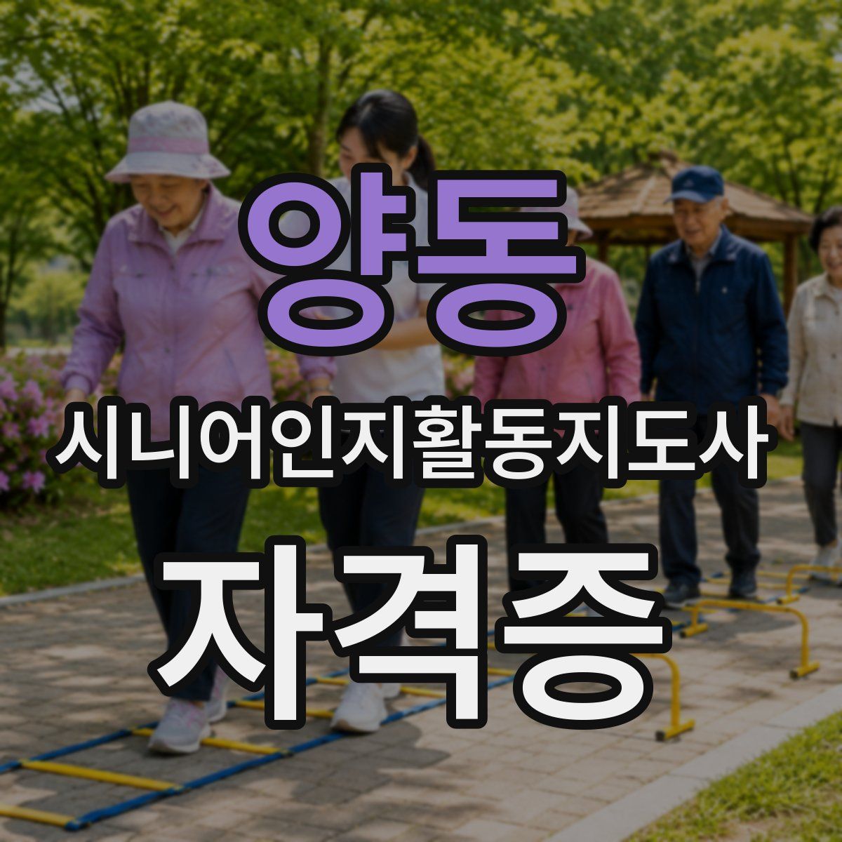 양동 시니어인지활동지도사 자격증