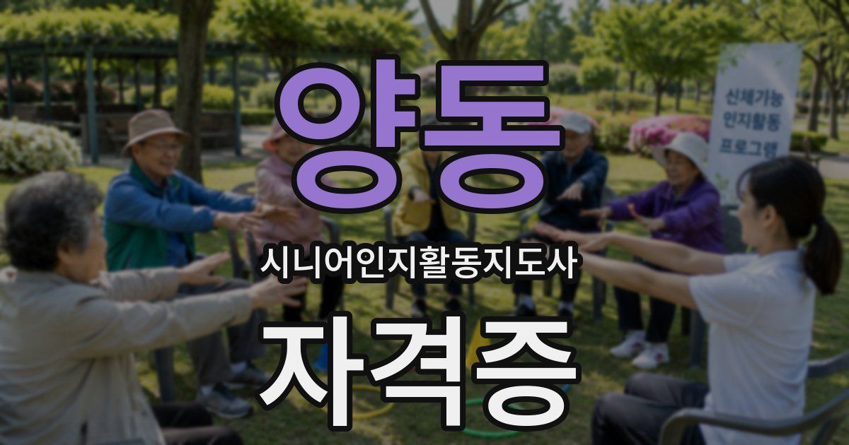 양동 시니어인지활동지도사 자격증