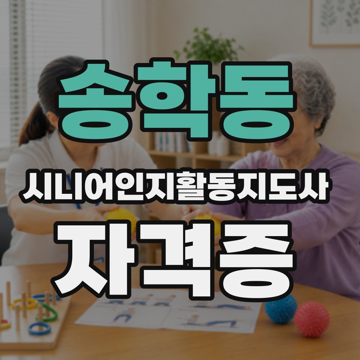 송학동 시니어인지활동지도사 자격증