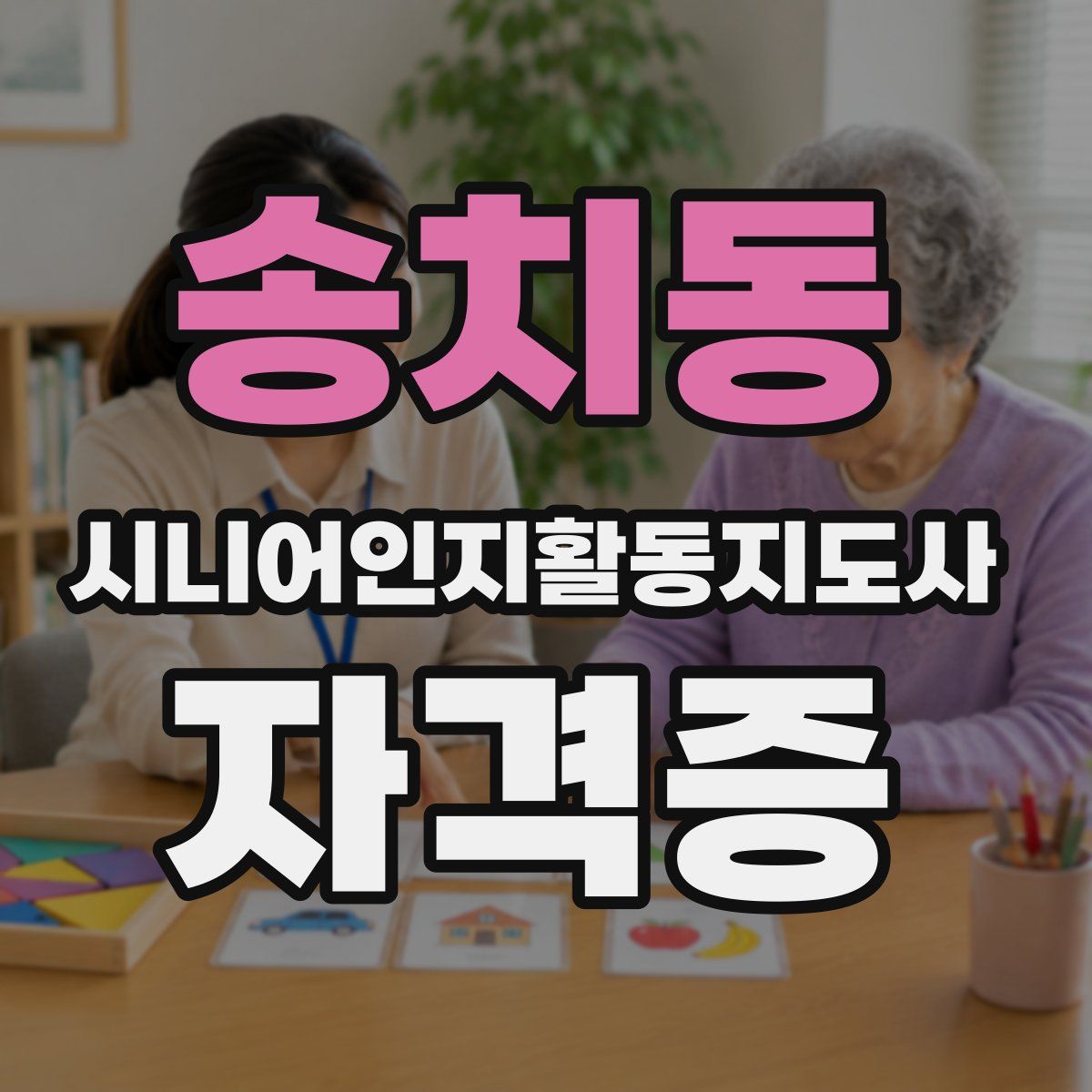 송치동 시니어인지활동지도사 자격증