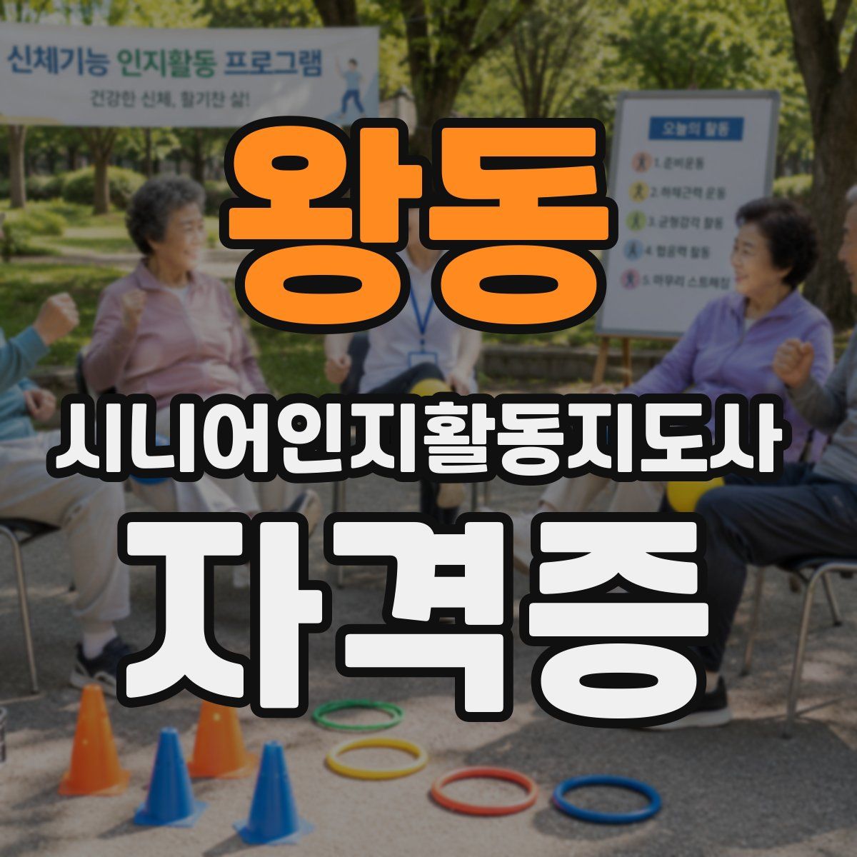 왕동 시니어인지활동지도사 자격증