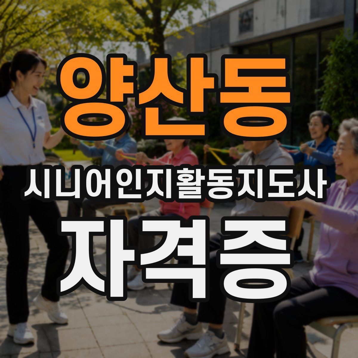 양산동 시니어인지활동지도사 자격증