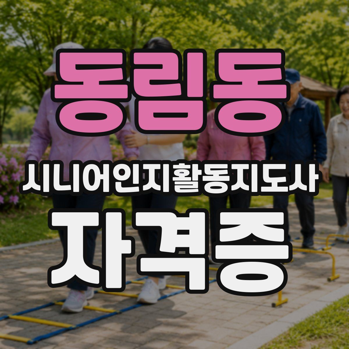 동림동 시니어인지활동지도사 자격증