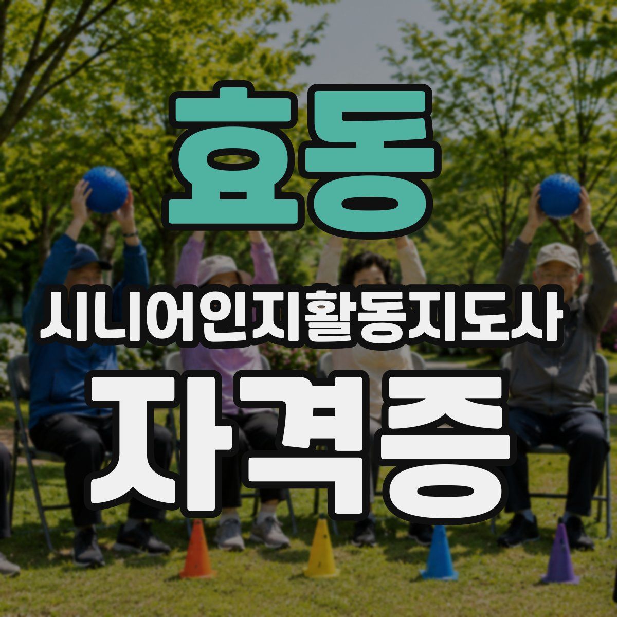 효동 시니어인지활동지도사 자격증
