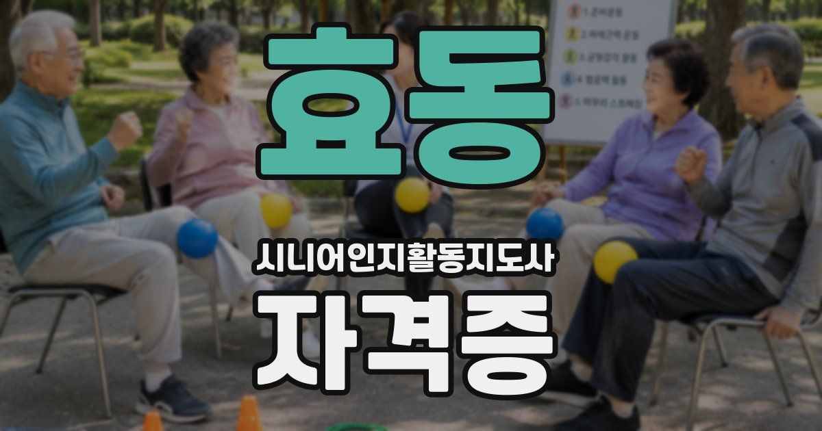 효동 시니어인지활동지도사 자격증