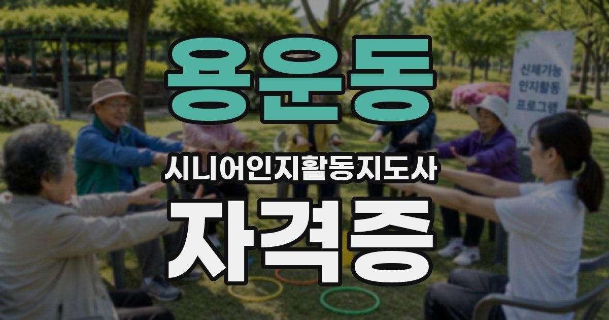 용운동 시니어인지활동지도사 자격증