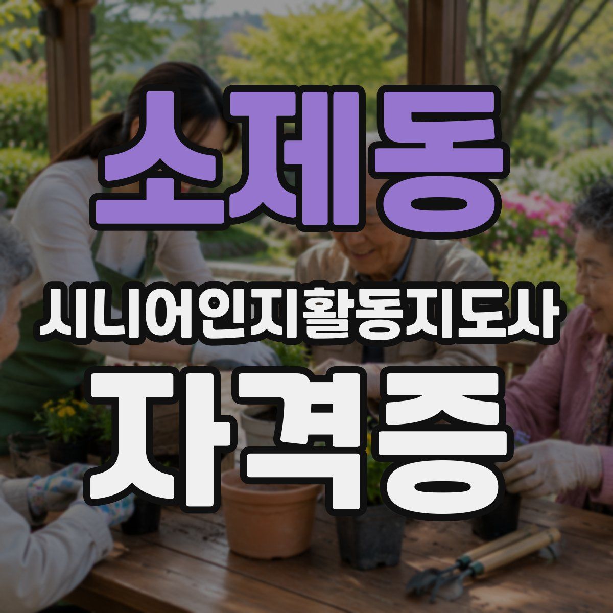 소제동 시니어인지활동지도사 자격증