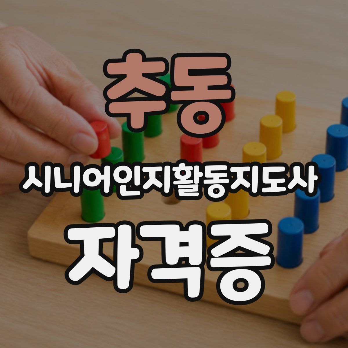 추동 시니어인지활동지도사 자격증