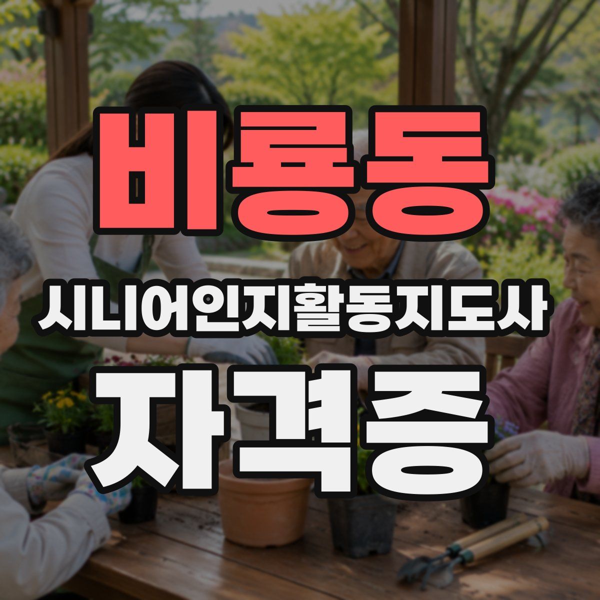 비룡동 시니어인지활동지도사 자격증