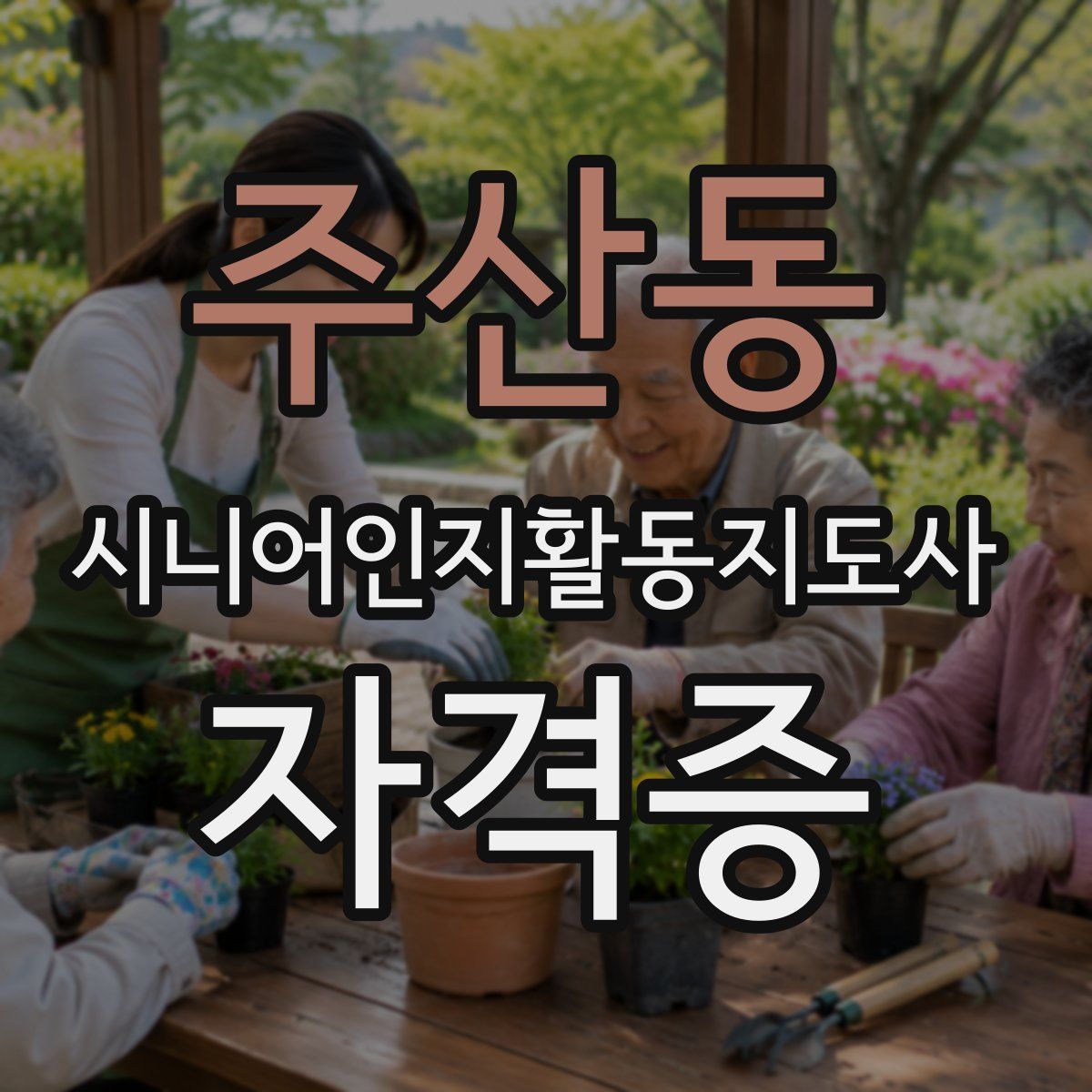 주산동 시니어인지활동지도사 자격증