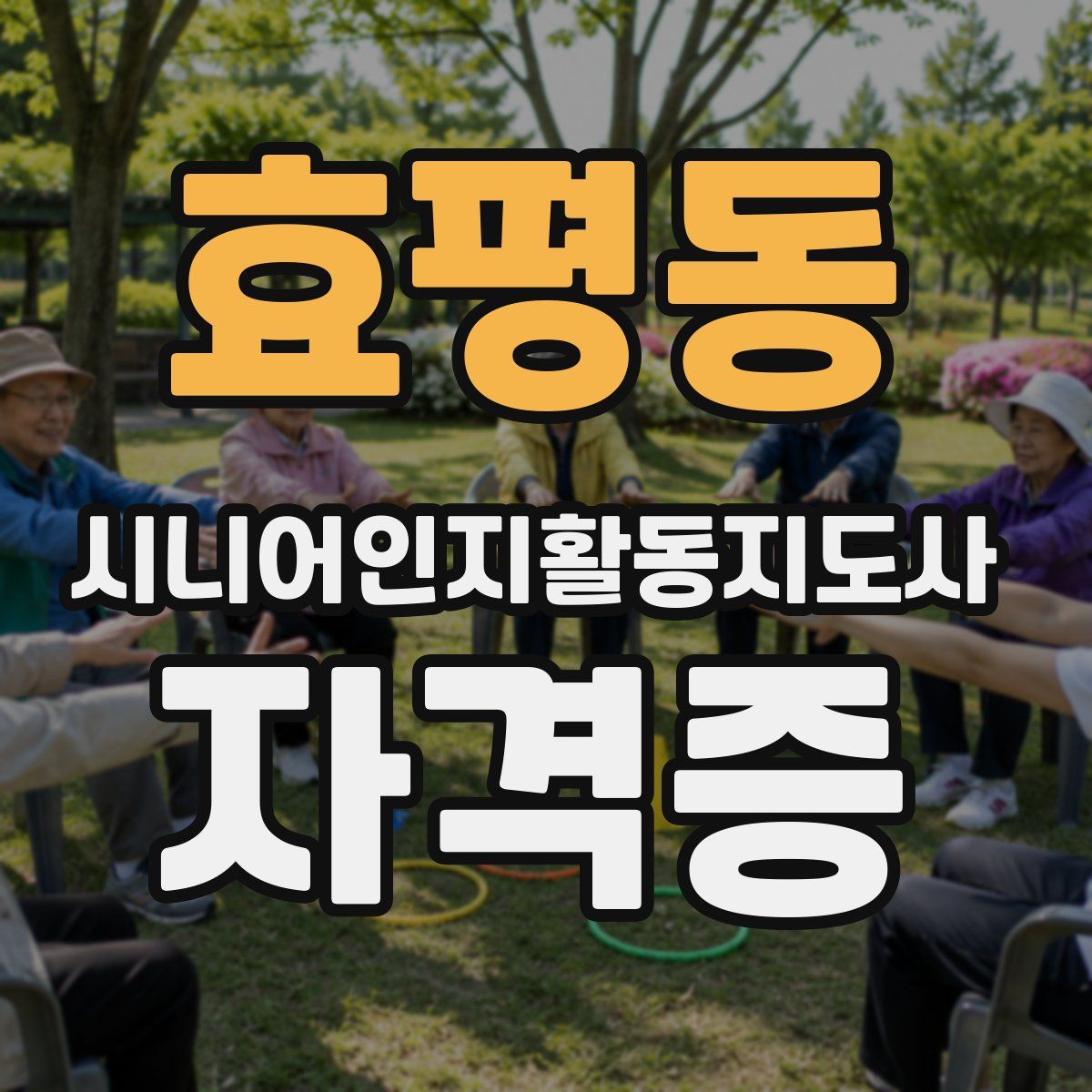 효평동 시니어인지활동지도사 자격증
