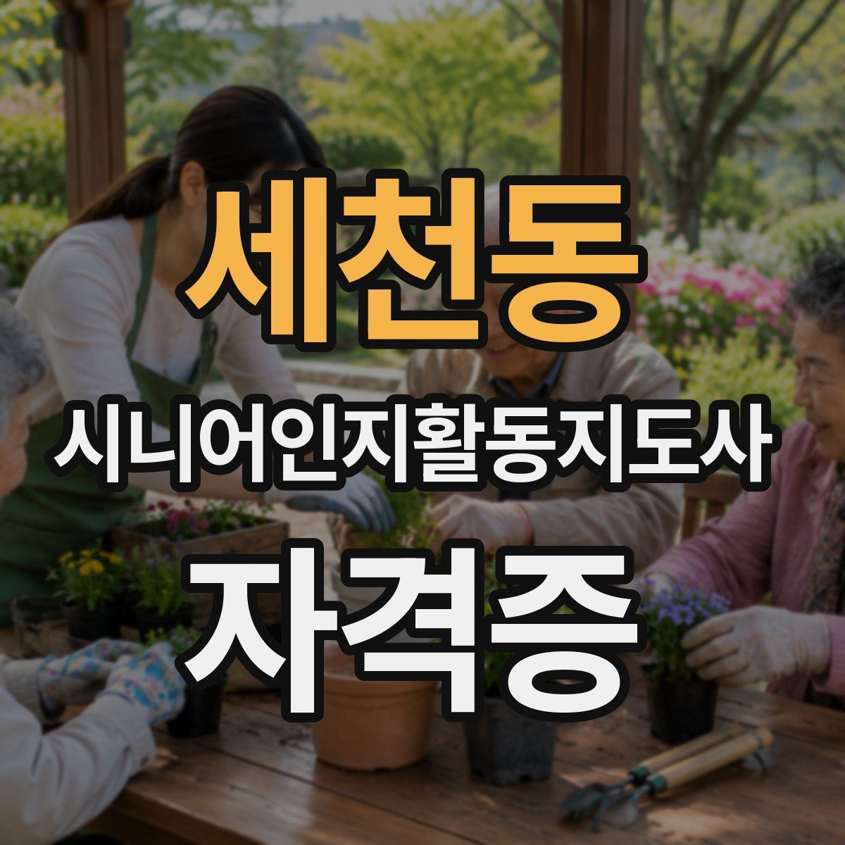 세천동 시니어인지활동지도사 자격증