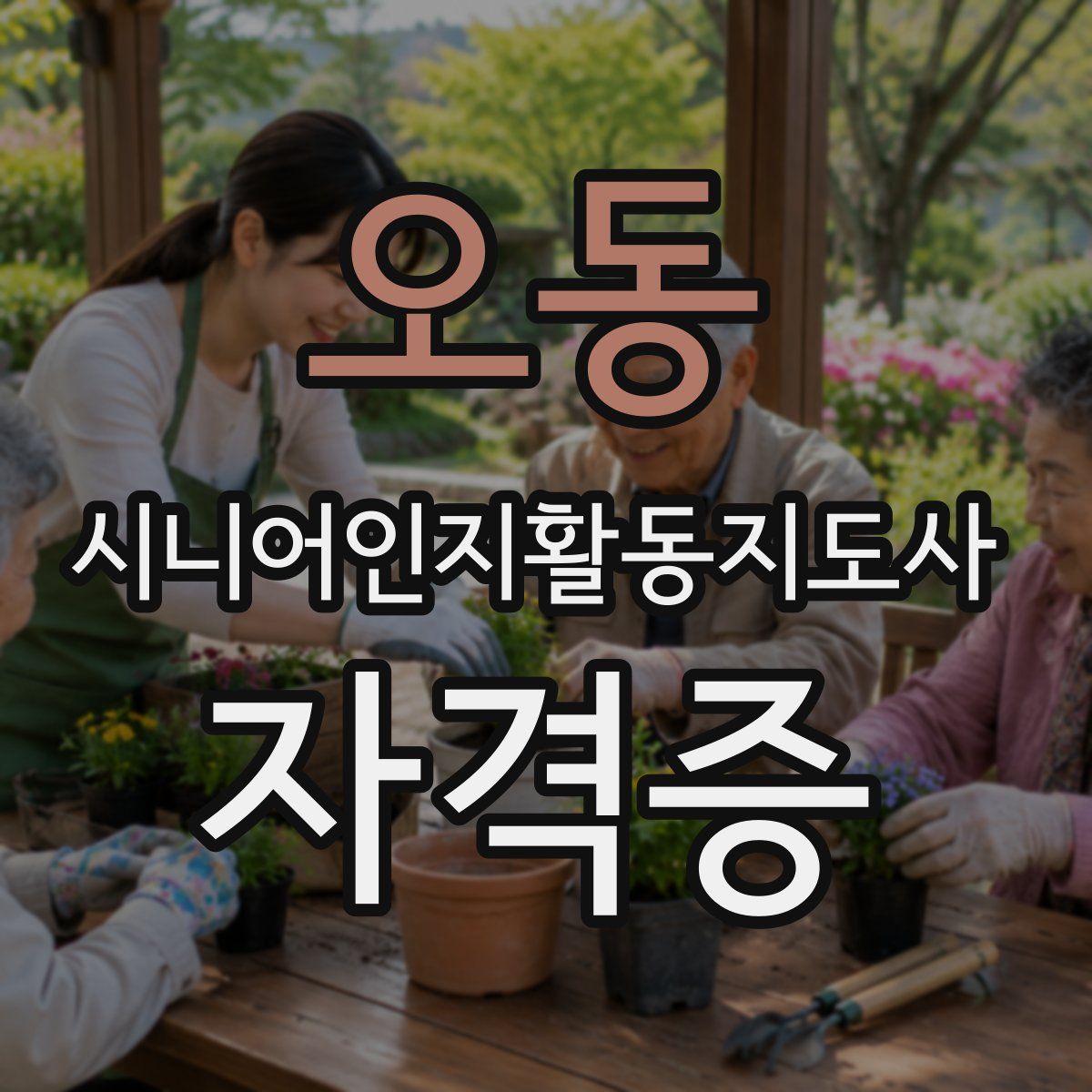 오동 시니어인지활동지도사 자격증