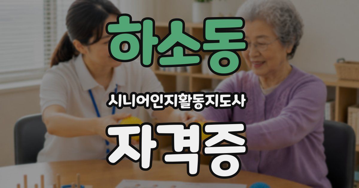 하소동 시니어인지활동지도사 자격증