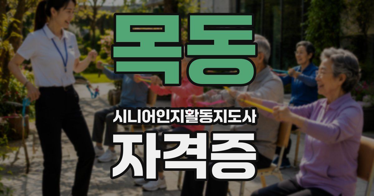 목동 시니어인지활동지도사 자격증