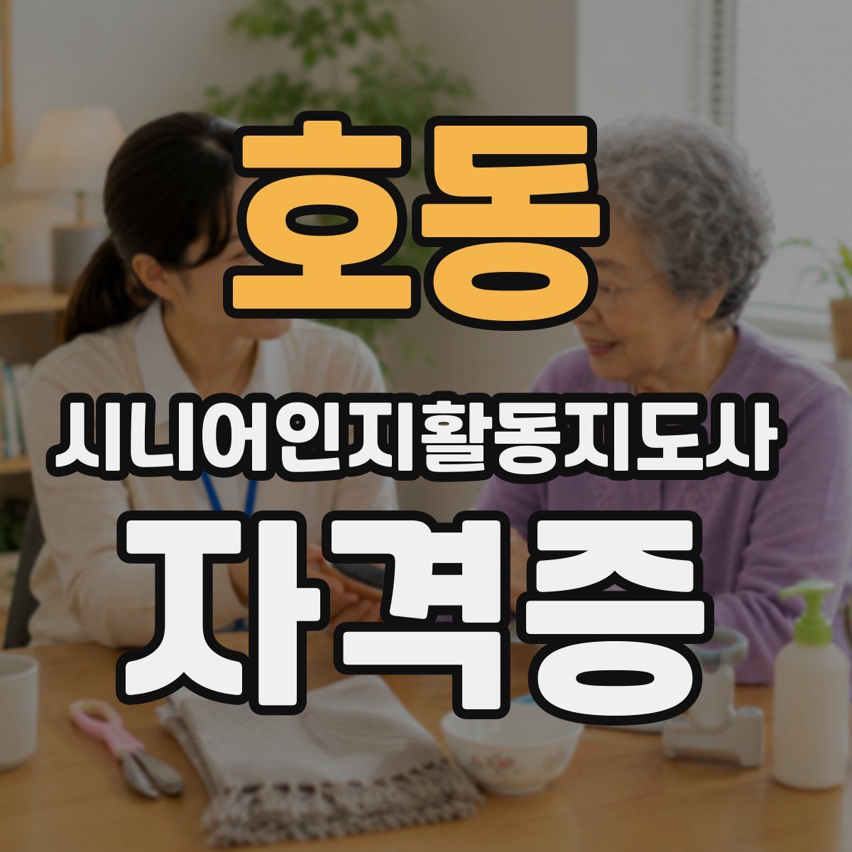 호동 시니어인지활동지도사 자격증