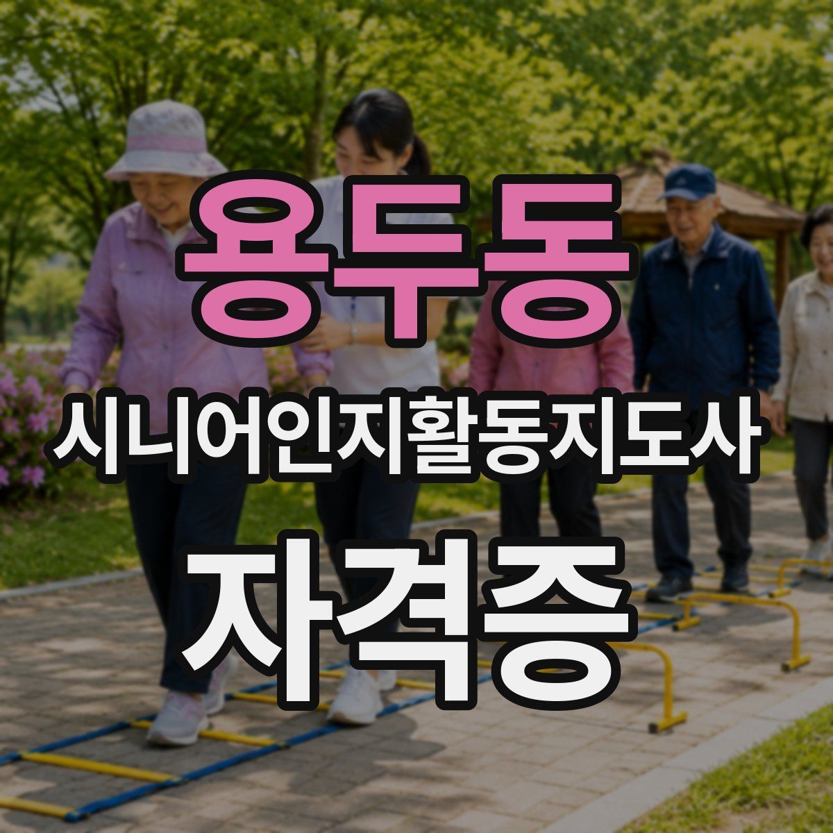 용두동 시니어인지활동지도사 자격증