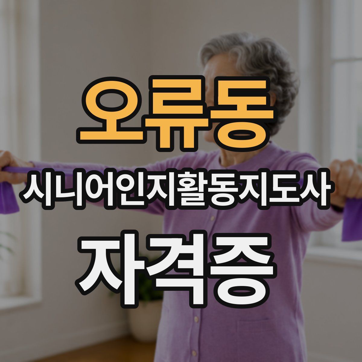 오류동 시니어인지활동지도사 자격증