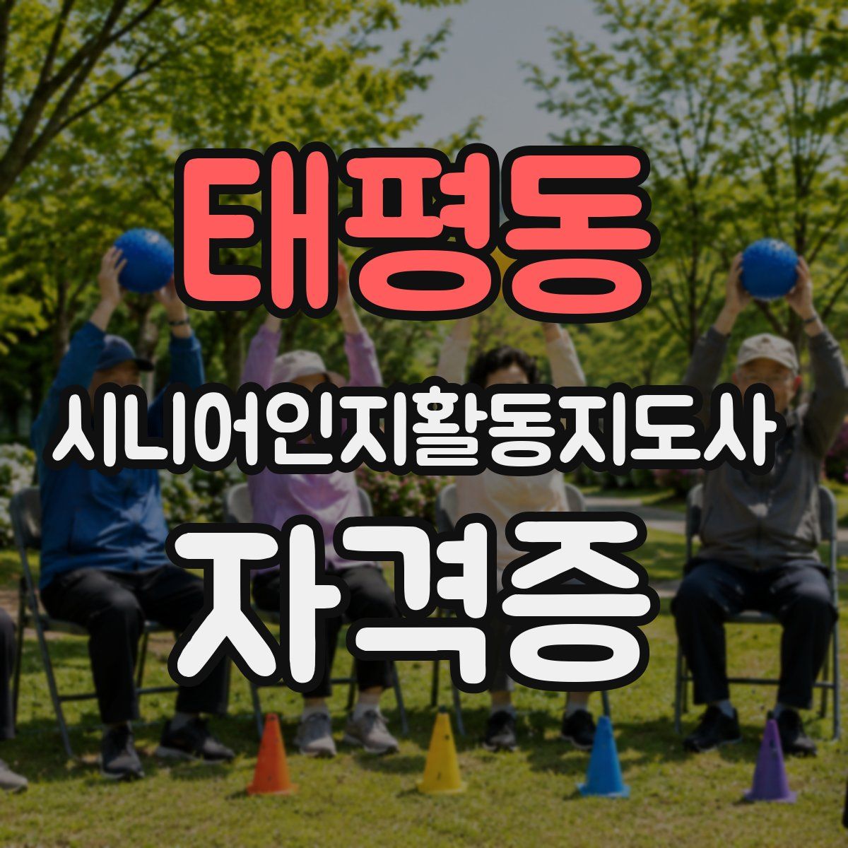 태평동 시니어인지활동지도사 자격증