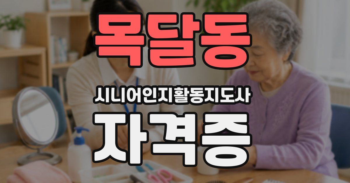 목달동 시니어인지활동지도사 자격증