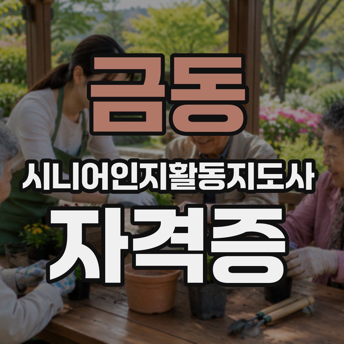금동 시니어인지활동지도사 자격증