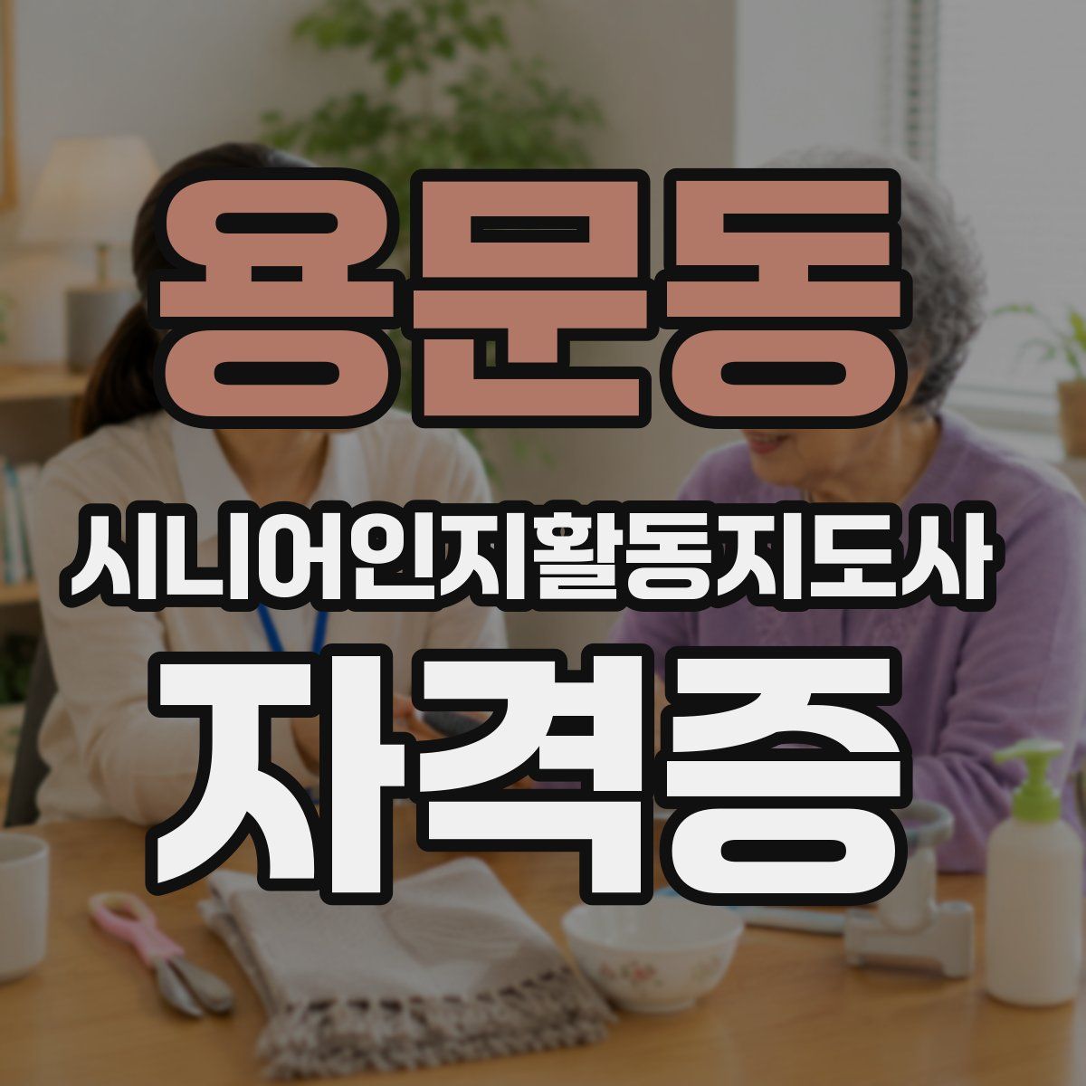 용문동 시니어인지활동지도사 자격증