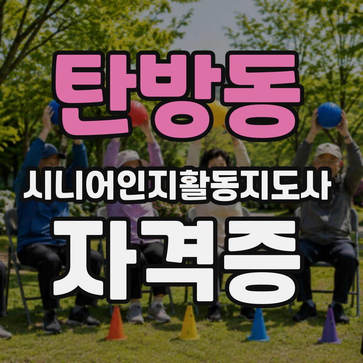 탄방동 시니어인지활동지도사 자격증
