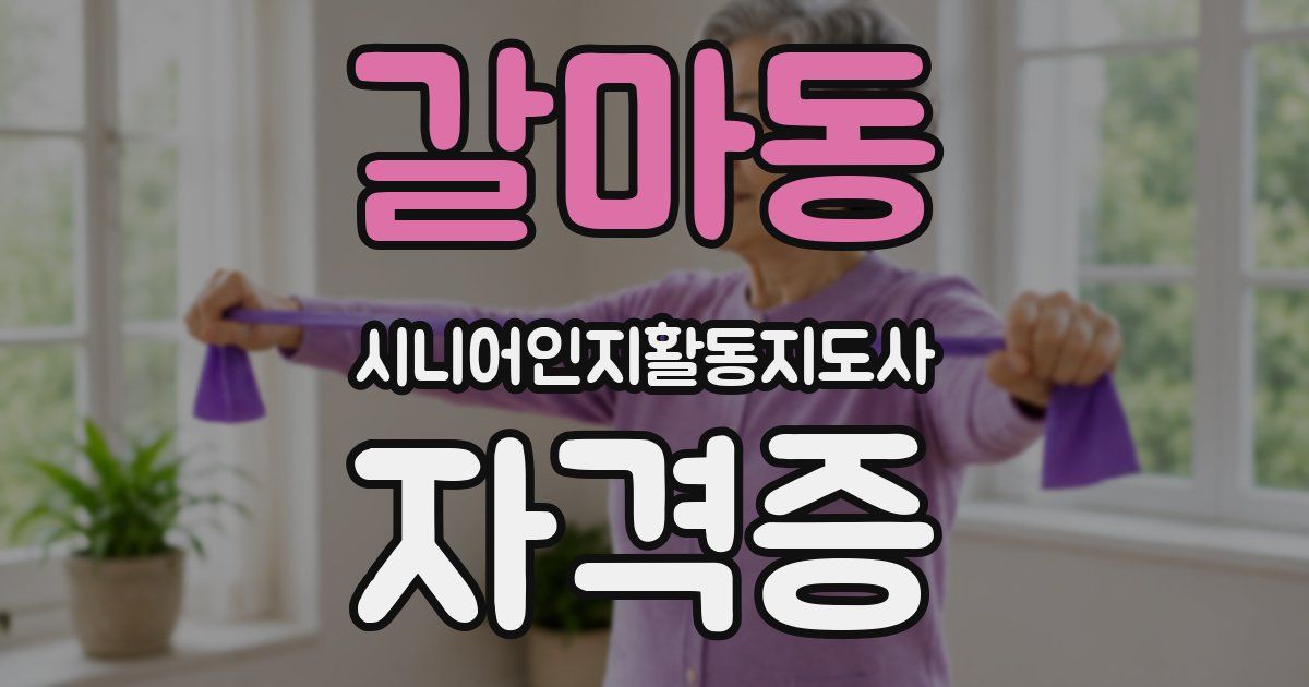 갈마동 시니어인지활동지도사 자격증