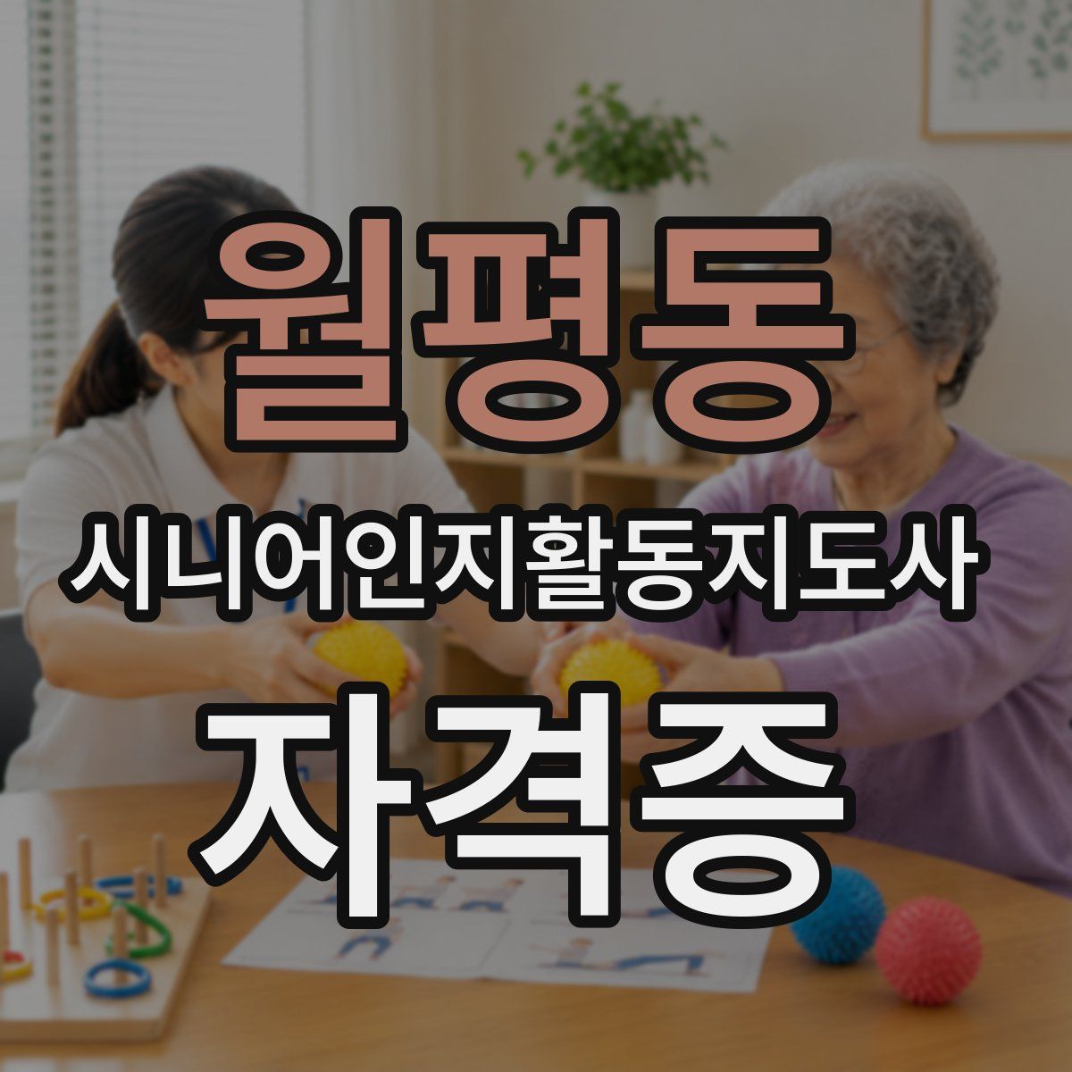 월평동 시니어인지활동지도사 자격증