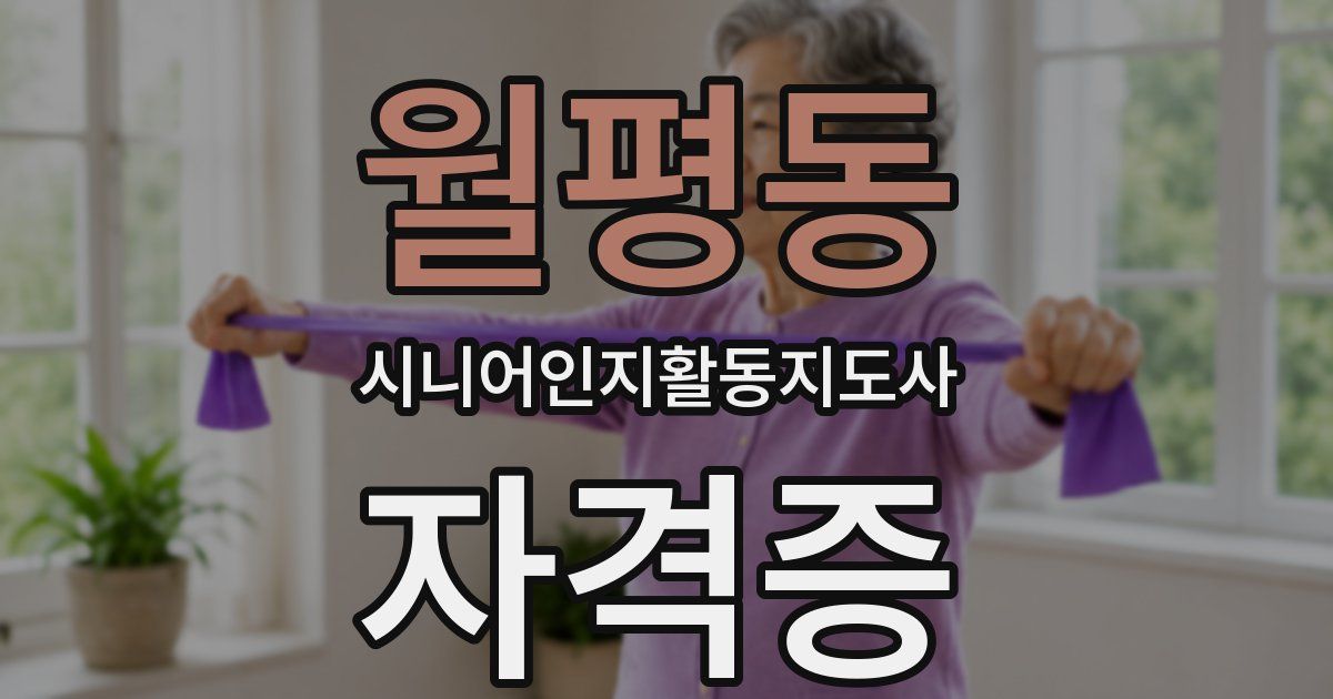 월평동 시니어인지활동지도사 자격증