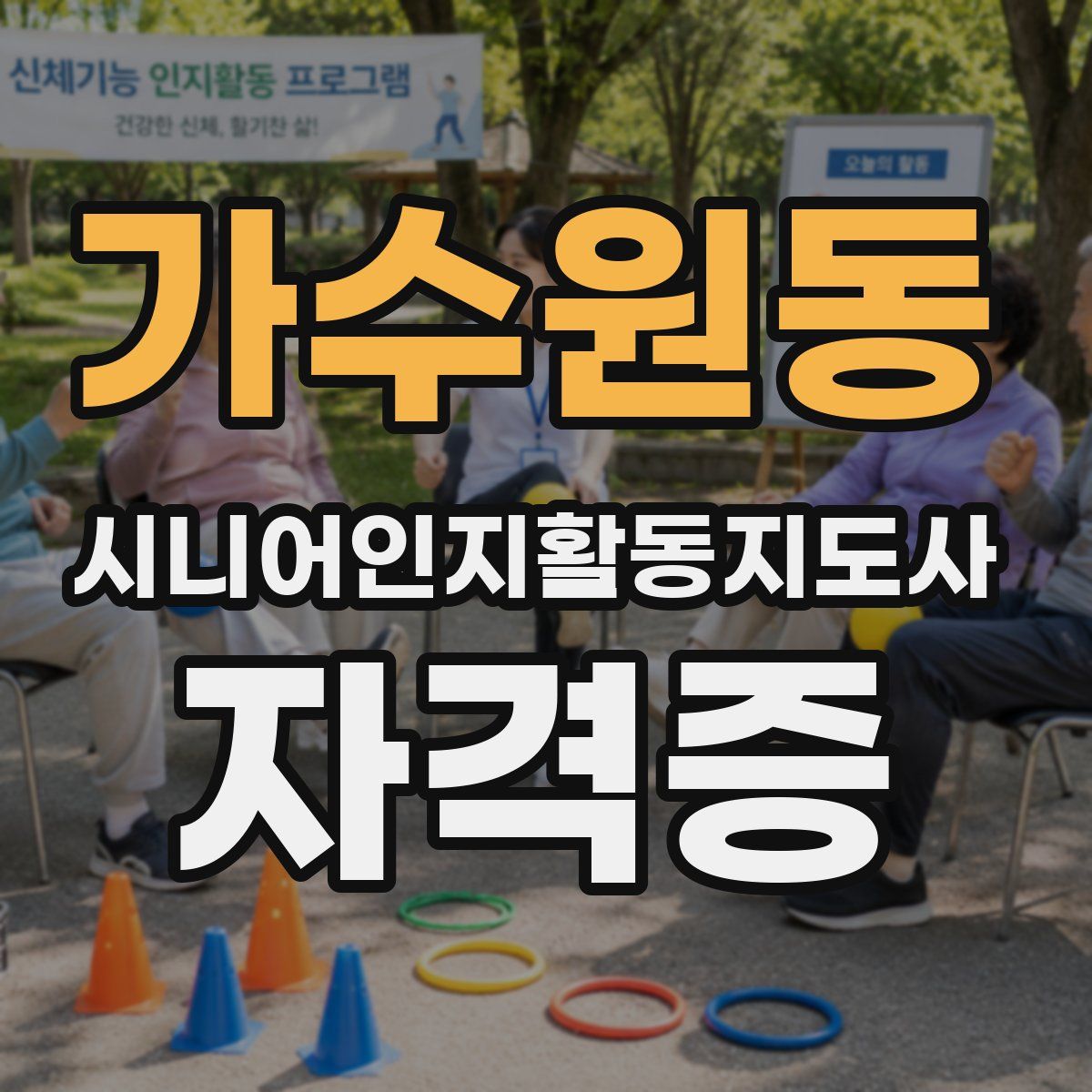 가수원동 시니어인지활동지도사 자격증